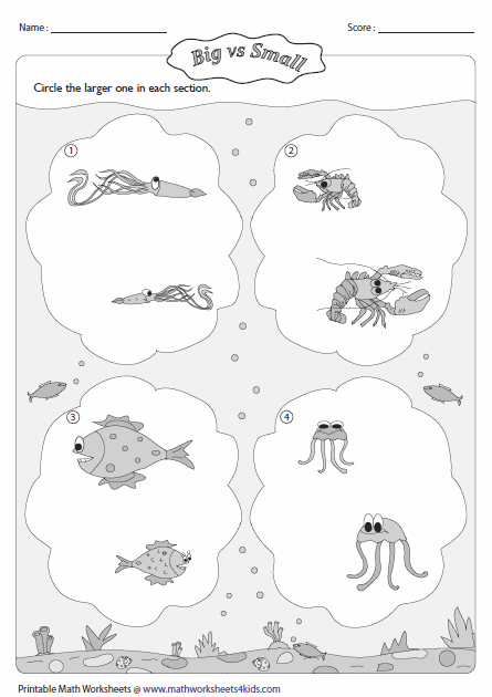ocean animals coloring pages kindergarten snow - photo #50