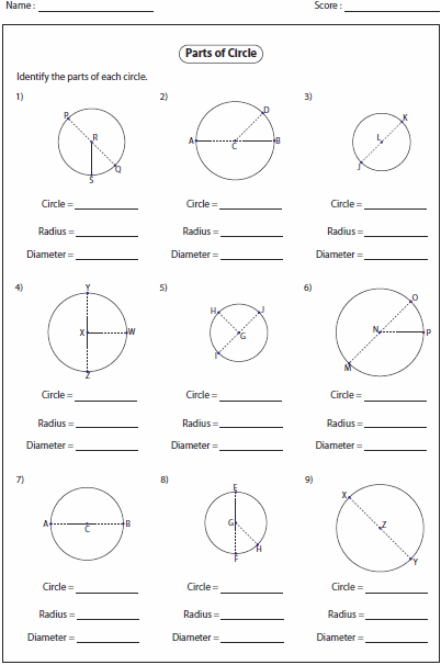 circles-radius-diameter-circumference-worksheet-with-answer-key-in-2020-circle-radius-answer