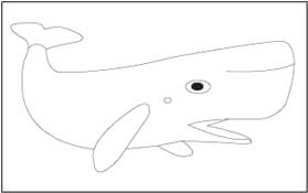 Bowhead whale Coloring Page