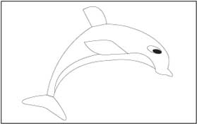 Spotted dolphin Coloring Page