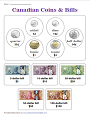 Canadian Coins and Bills