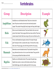 Classification of vertebrates chart