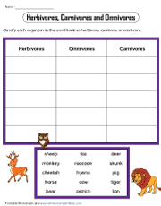 Classifying Animals Based on Food