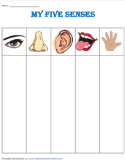 Five senses column template