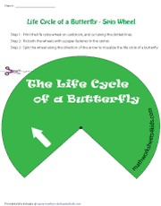 Life Cycle of a Butterfly | Spin Wheel