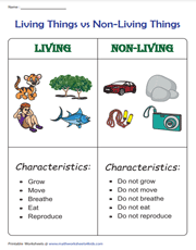 Characteristics chart