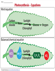 Photosynthesis Equations Chart