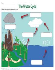 Label the steps in the water cycle