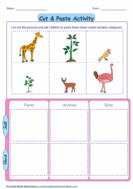 Tall and Short Worksheets