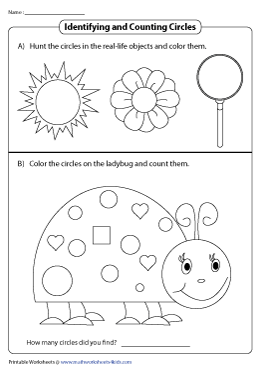 Finding, Coloring, and Counting Circles