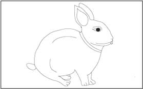 Rabbit Coloring Page
