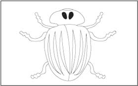 bug1 Coloring Page