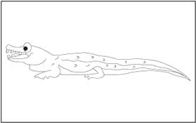 Alligator 1 Coloring Page
