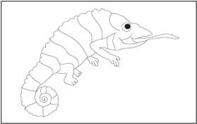 Chameleon 1 Coloring Page