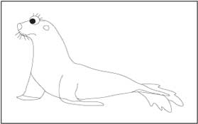 Seal 1 Coloring Page