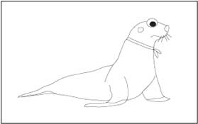 Seal 2