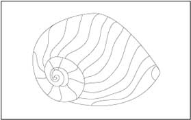 Shell 1 Coloring Page