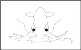 Vampire-Squid Coloring Page