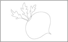 Beetroot Coloring Page
