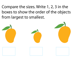 Ordering Objects from Largest to Smallest