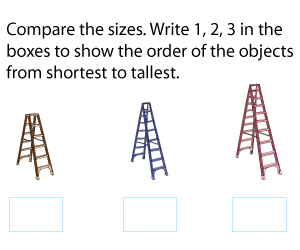 Ordering Objects from Shortest to Tallest