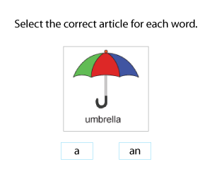 Select the Correct Article