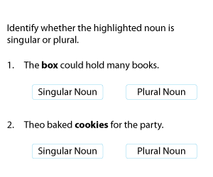Identifying Singular and Plural Nouns