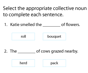 Finding the Correct Collective Noun