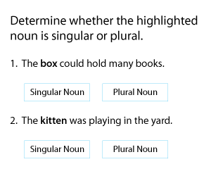Recognizing Singular and Plural Nouns