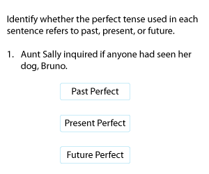 Identifying the Tense of the Perfect Verb