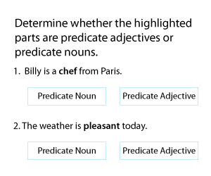 Predicate Adjectives vs. Predicate Nouns