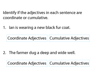 Coordinate and Cumulative Adjectives