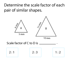 Scale Factors | Metric Units