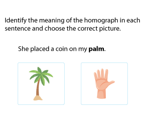 Multiple-Meaning Words with Pictures