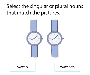 Identifying Singular and Plural Nouns -S or -ES