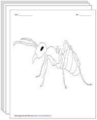 Coloring Pages
