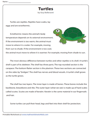 Turtles | Non-fiction