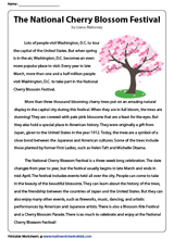 The National Cherry Blossom Festival