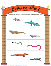 Reptile Theme: Long vs Short