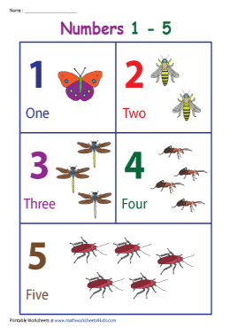 Numbers up to 5 | Insect-Themed