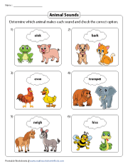 Choosing the Correct Animals for Sounds
