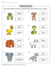 Coloring the Correct Sounds for Animals
