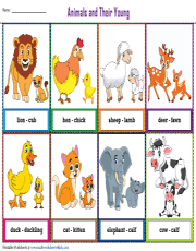 Animals and Their Young | Flashcards