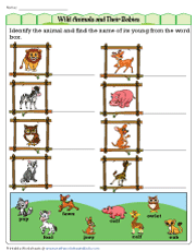 Animals and Their Young Worksheets