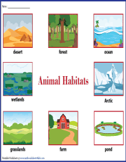 Animal Habitats Chart