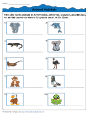 Classifying Animals Based on Their Habitats