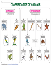 Vertebrates and Invertebrates Worksheets