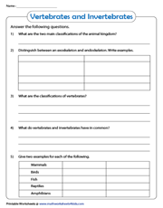 Comprehension worksheet