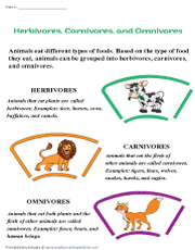 Herbivores, Carnivores, and Omnivores Worksheets