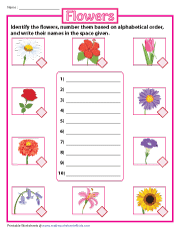 Arranging the Flowers in ABC Order
